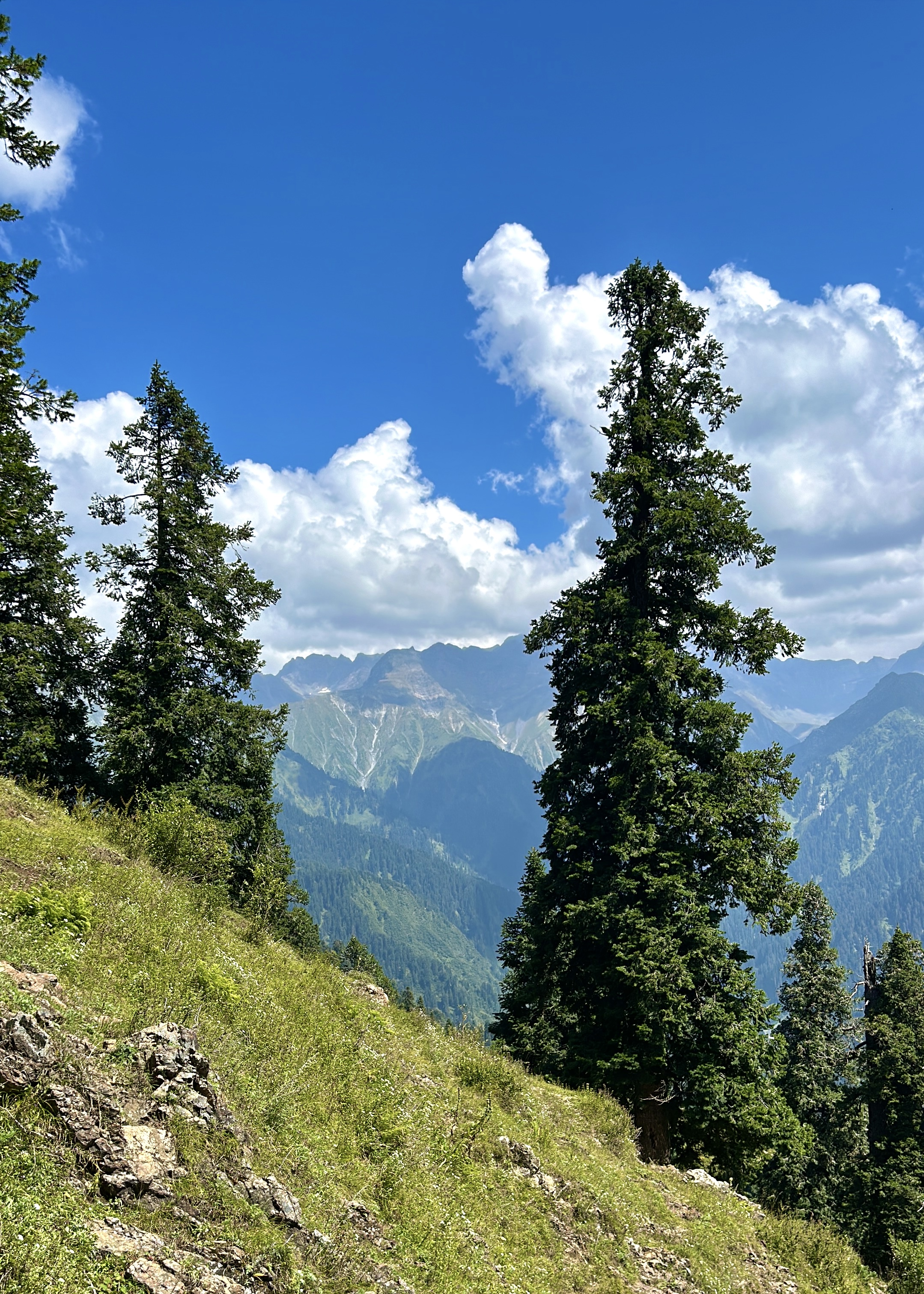 Galiyan Dhok Hari Marhote