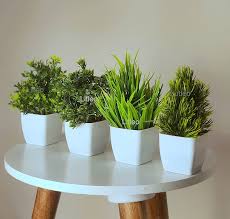Desk planter