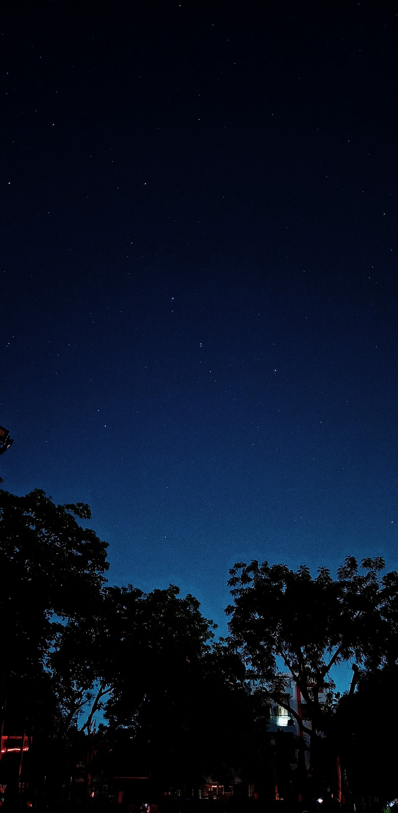 under stars