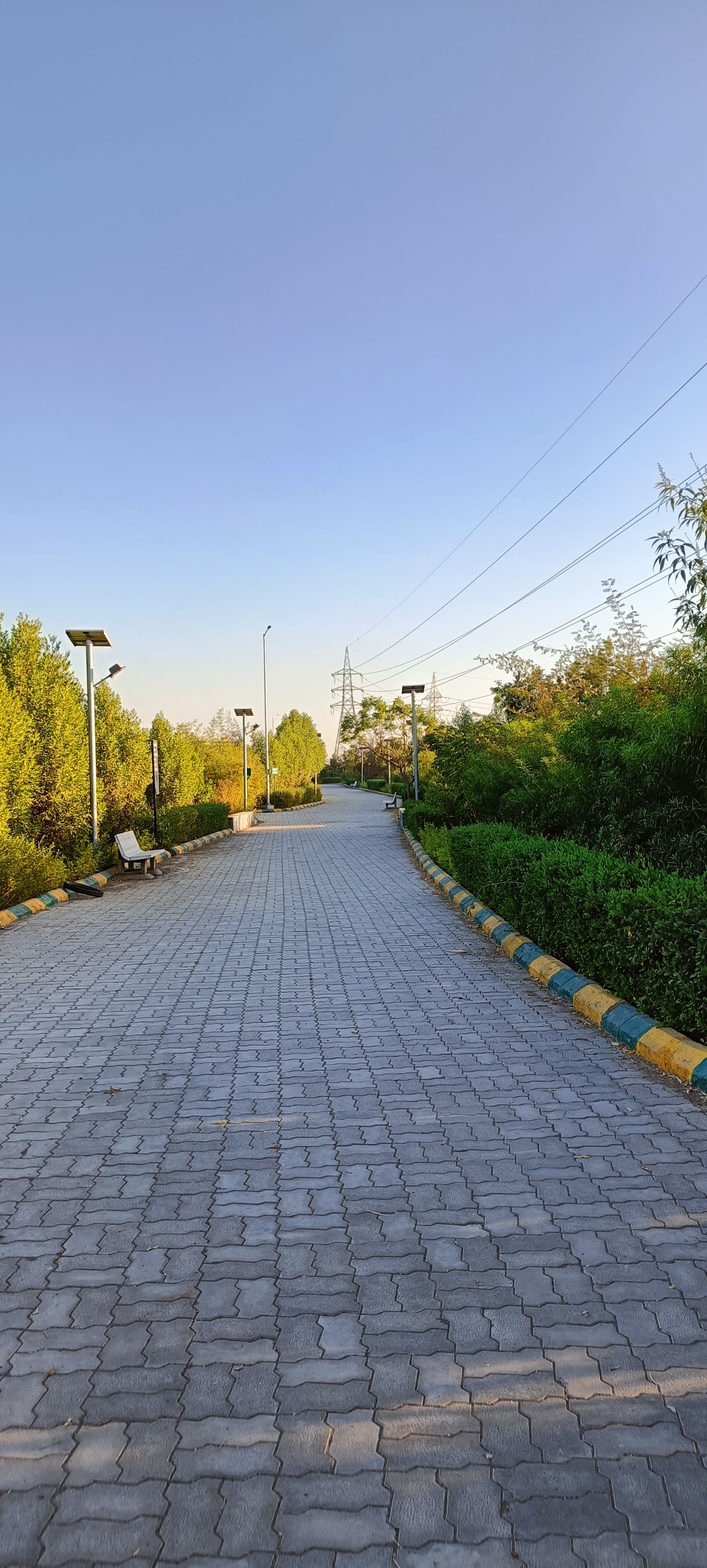 morning path