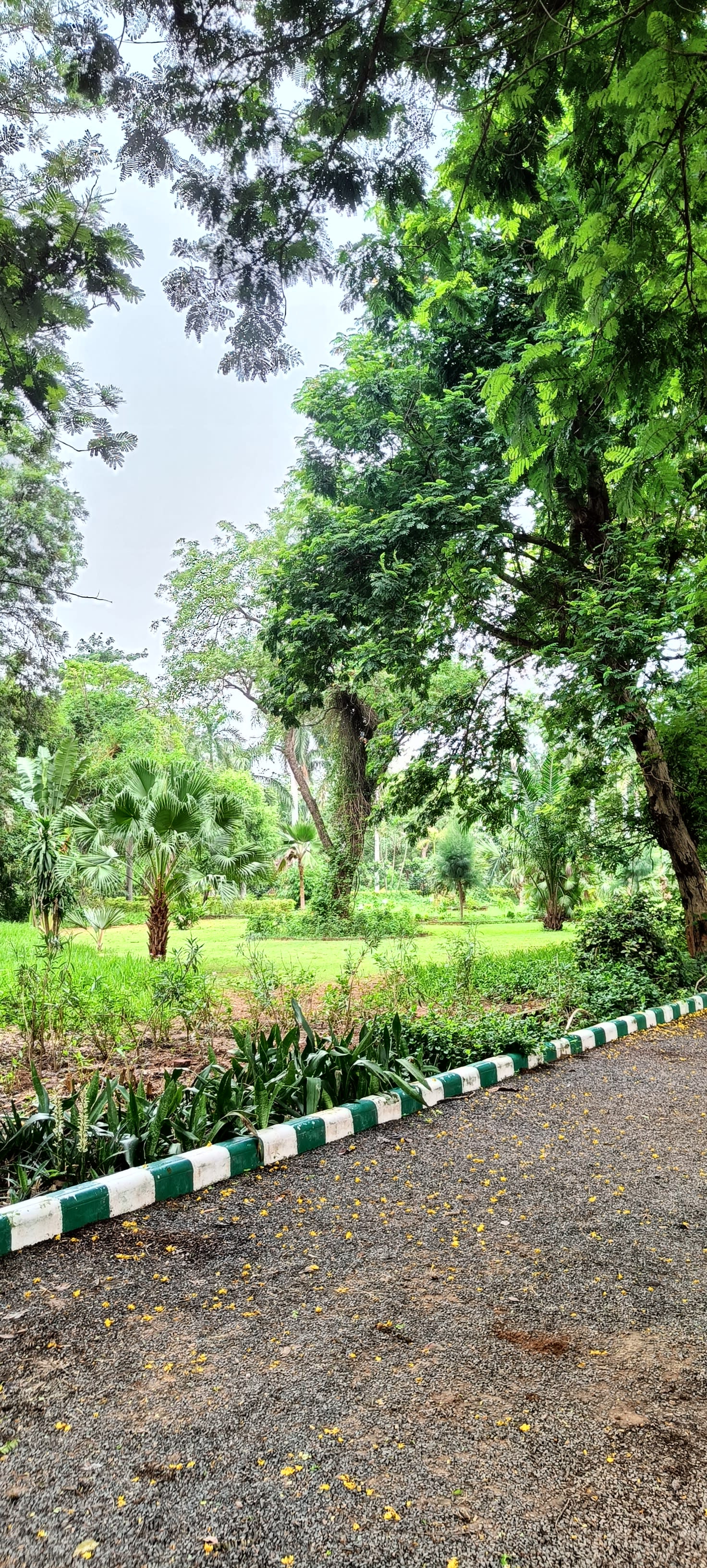 petal path