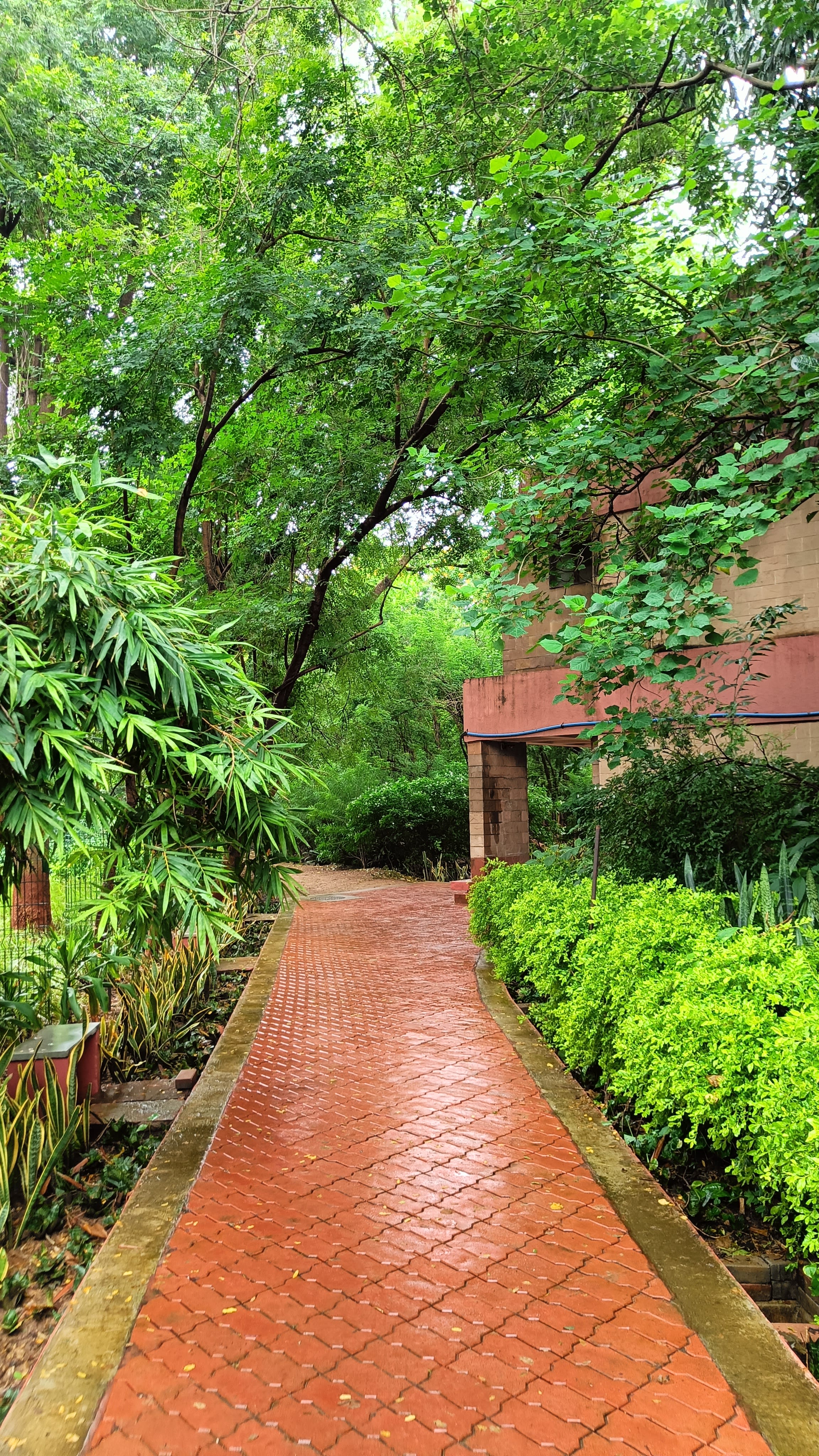 monsoon path