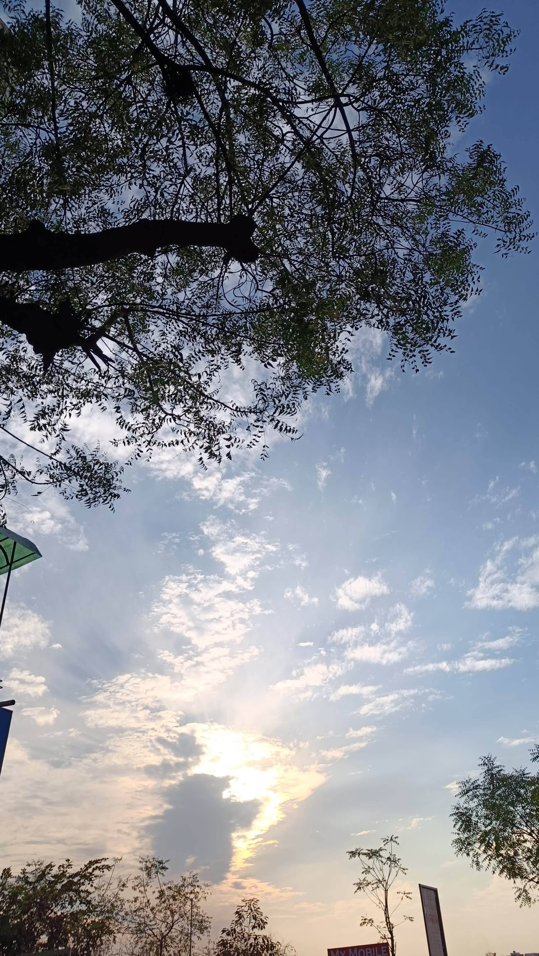 looking up