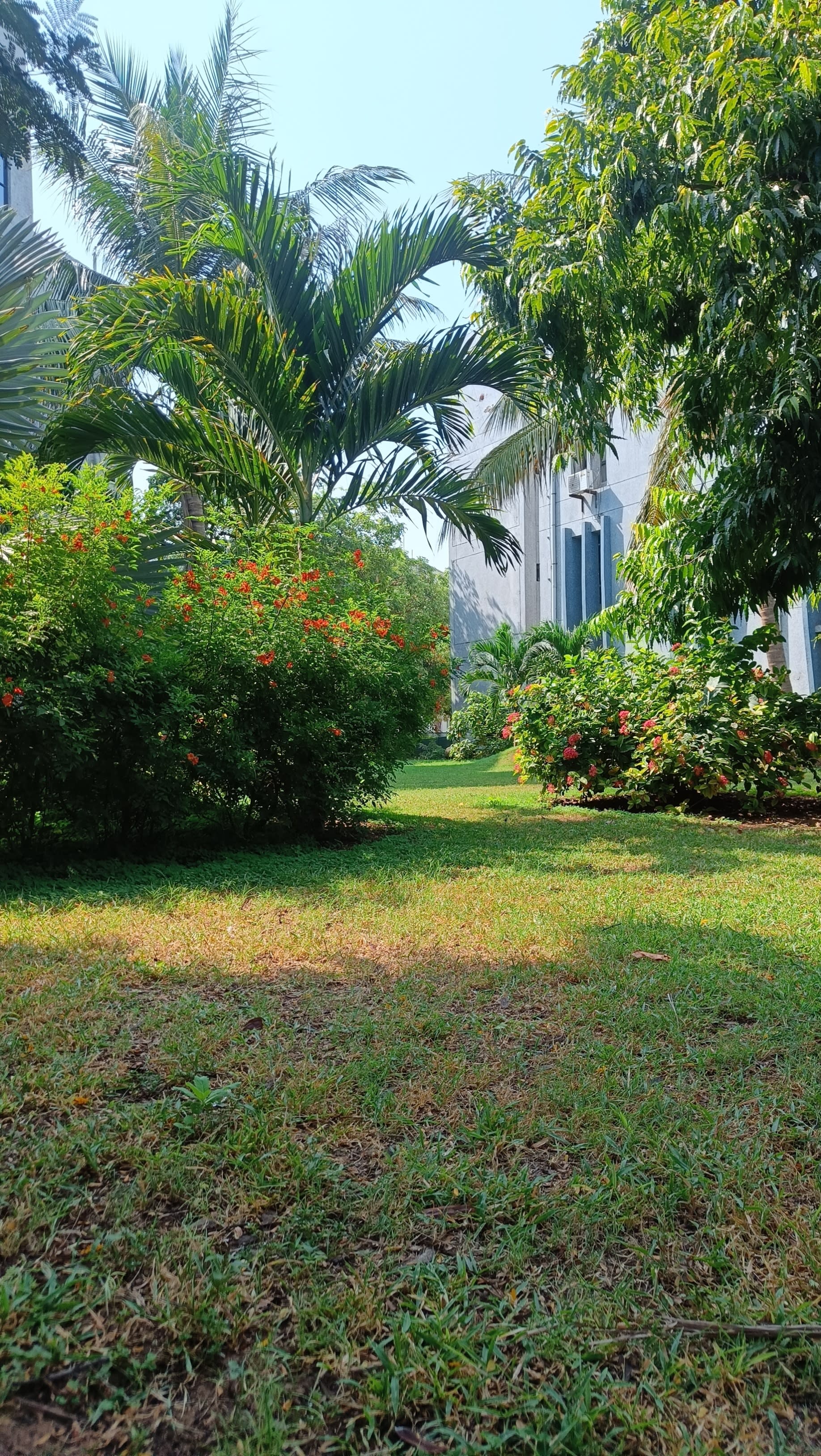 green corridor