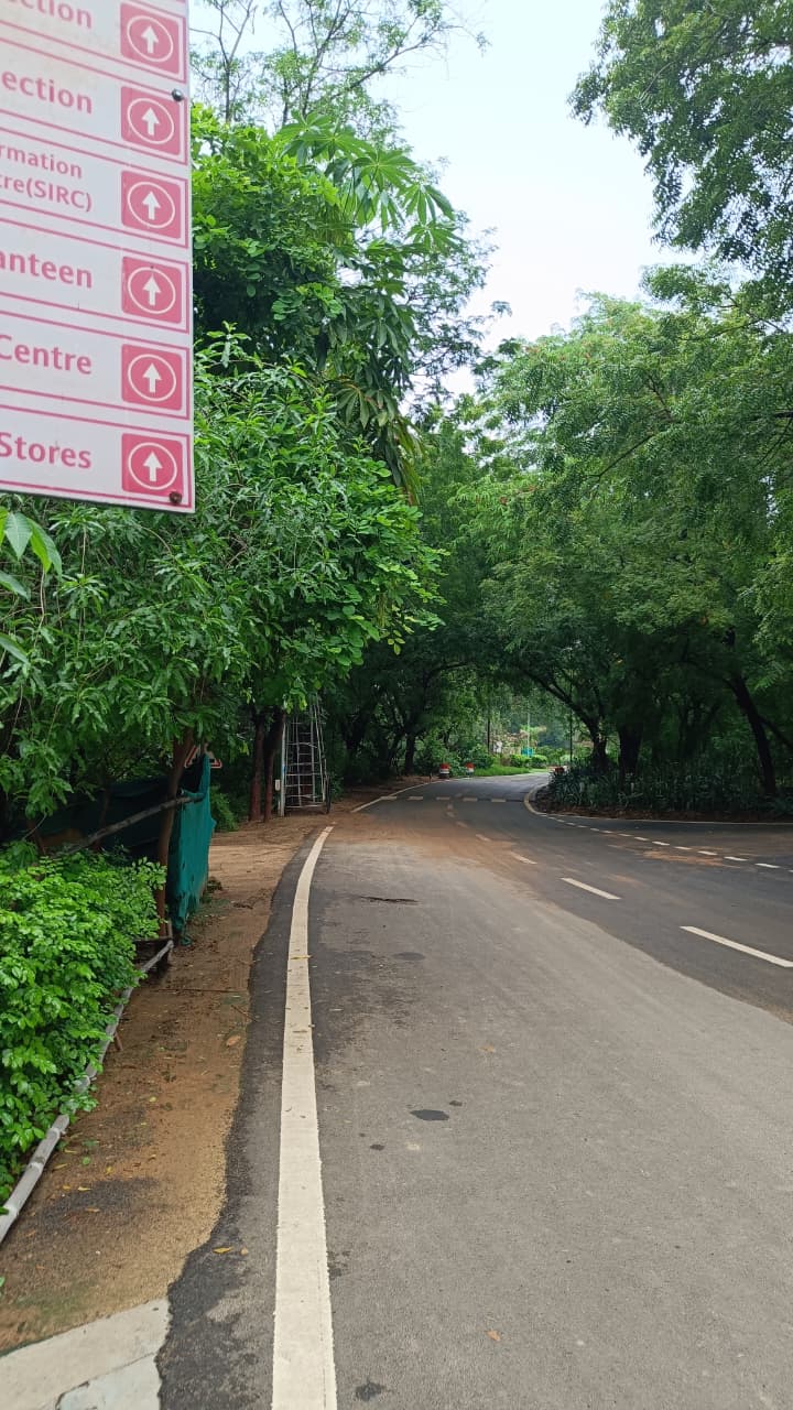 canopy road