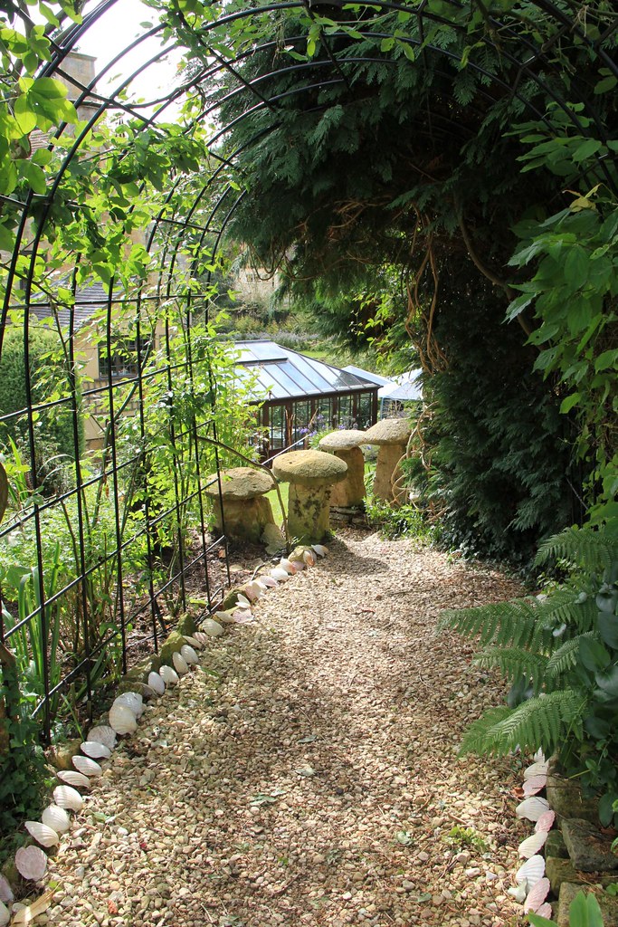 Mon Dryopteris
