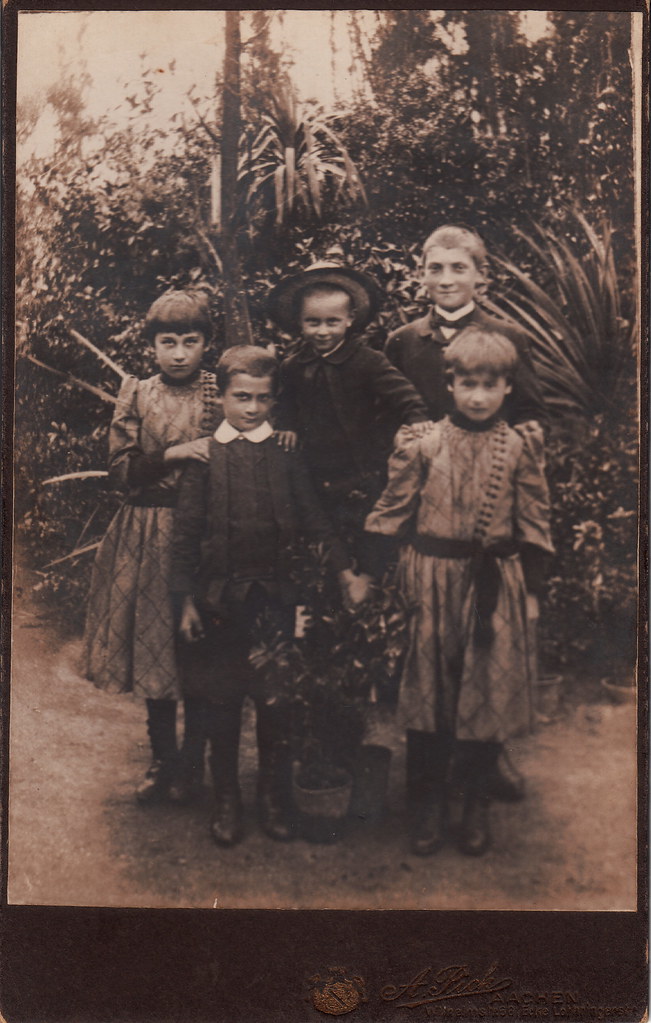 Phalaenopsis buyssoniana