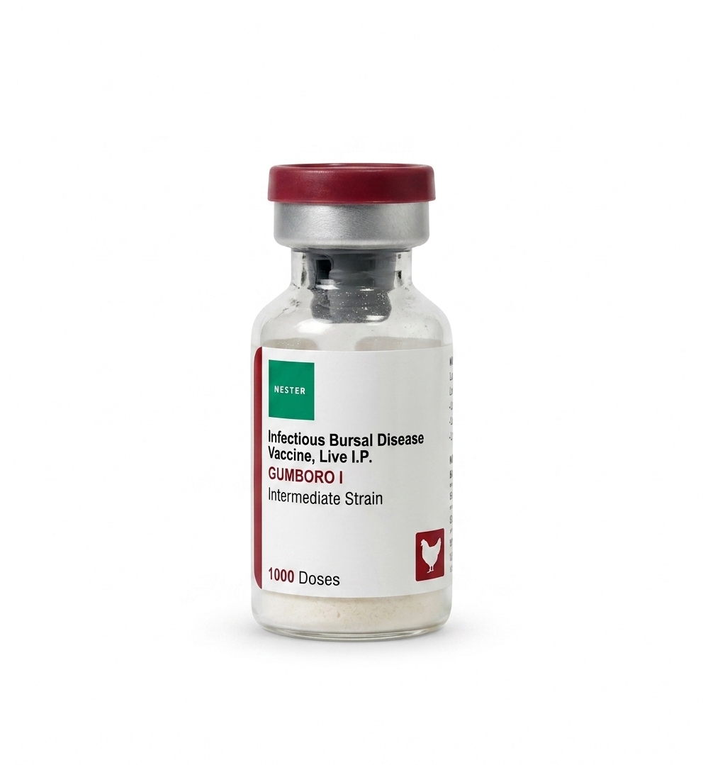 Gumboro Vaccine 1000 doses