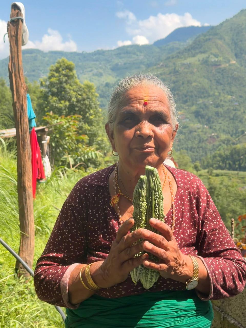 Fresh Farm Grown Bittergourd