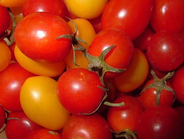 Organic Tomatoes - Fresh from Mahadibya Farm