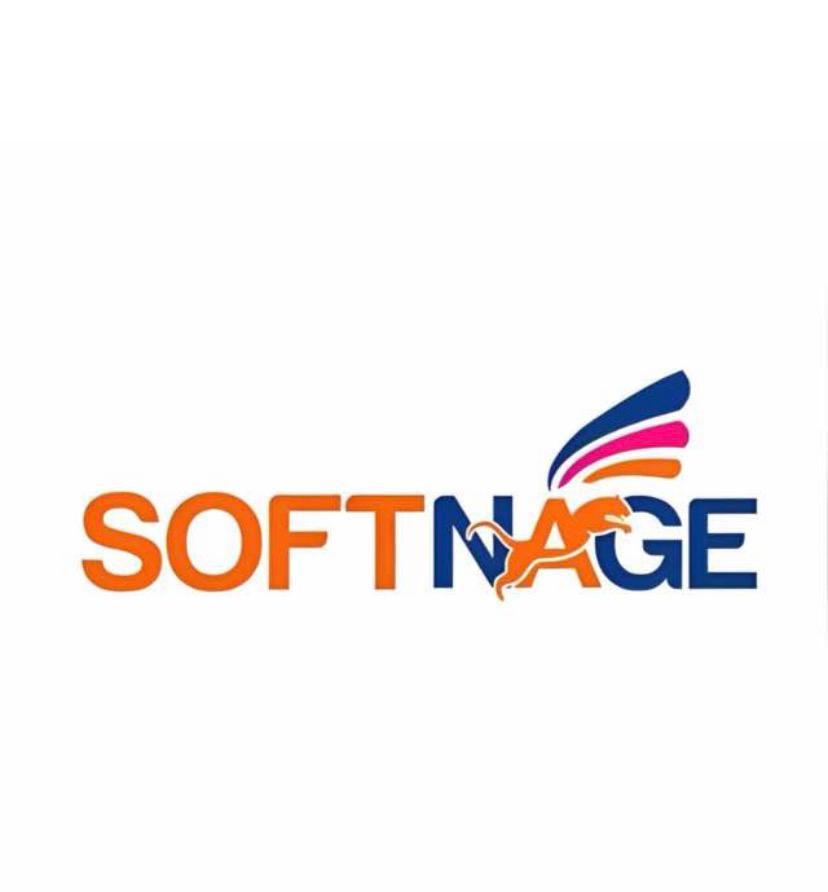 Software Companies in Ghana: Top IT & Software Companies to Know