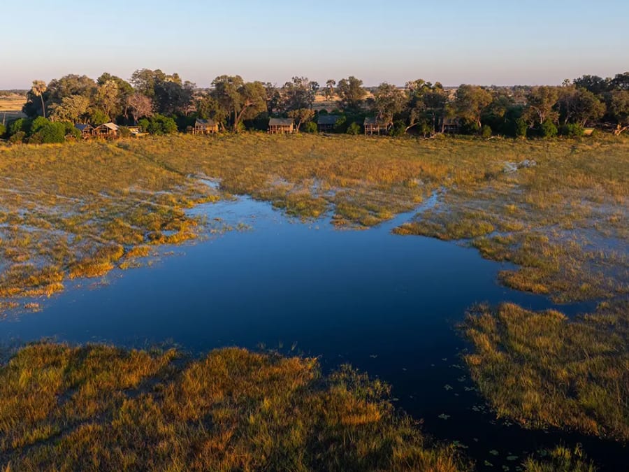 Channels of open water winding through a reed floodplain