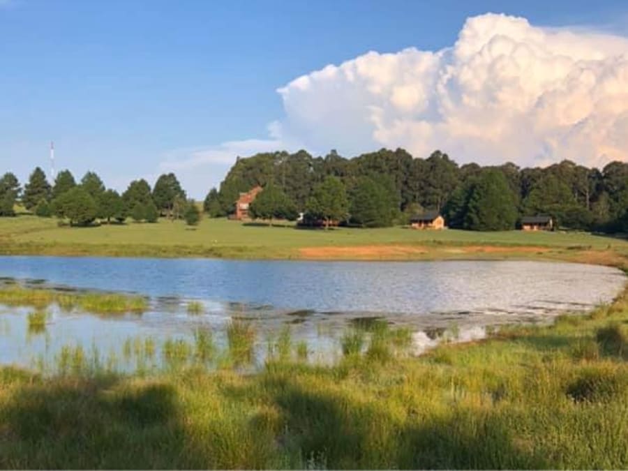 A farm dam with the lodge cottages behind it