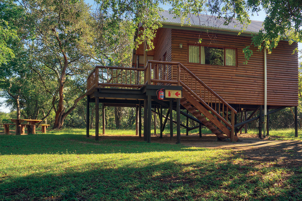 Rustic Tree House, foto 1
