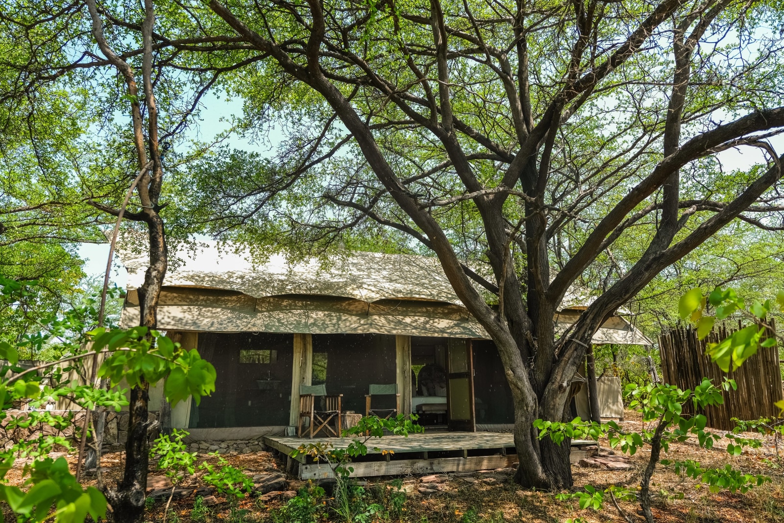 Family Tent at Changa Safari Camp