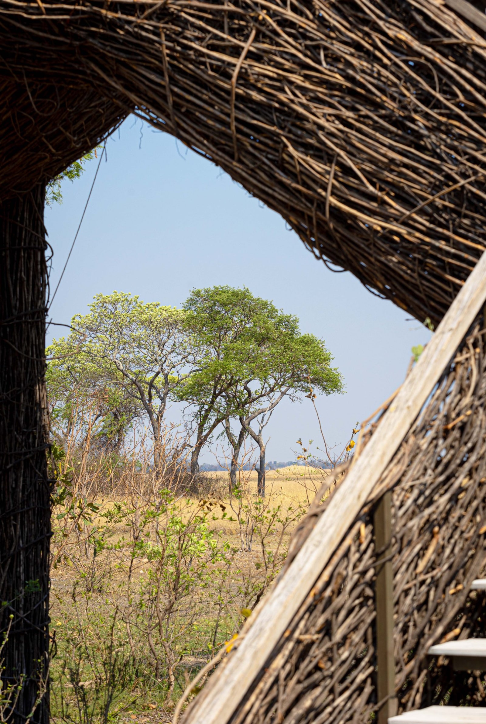 View from nest stairs, Nest at Chisa Busanga Camp