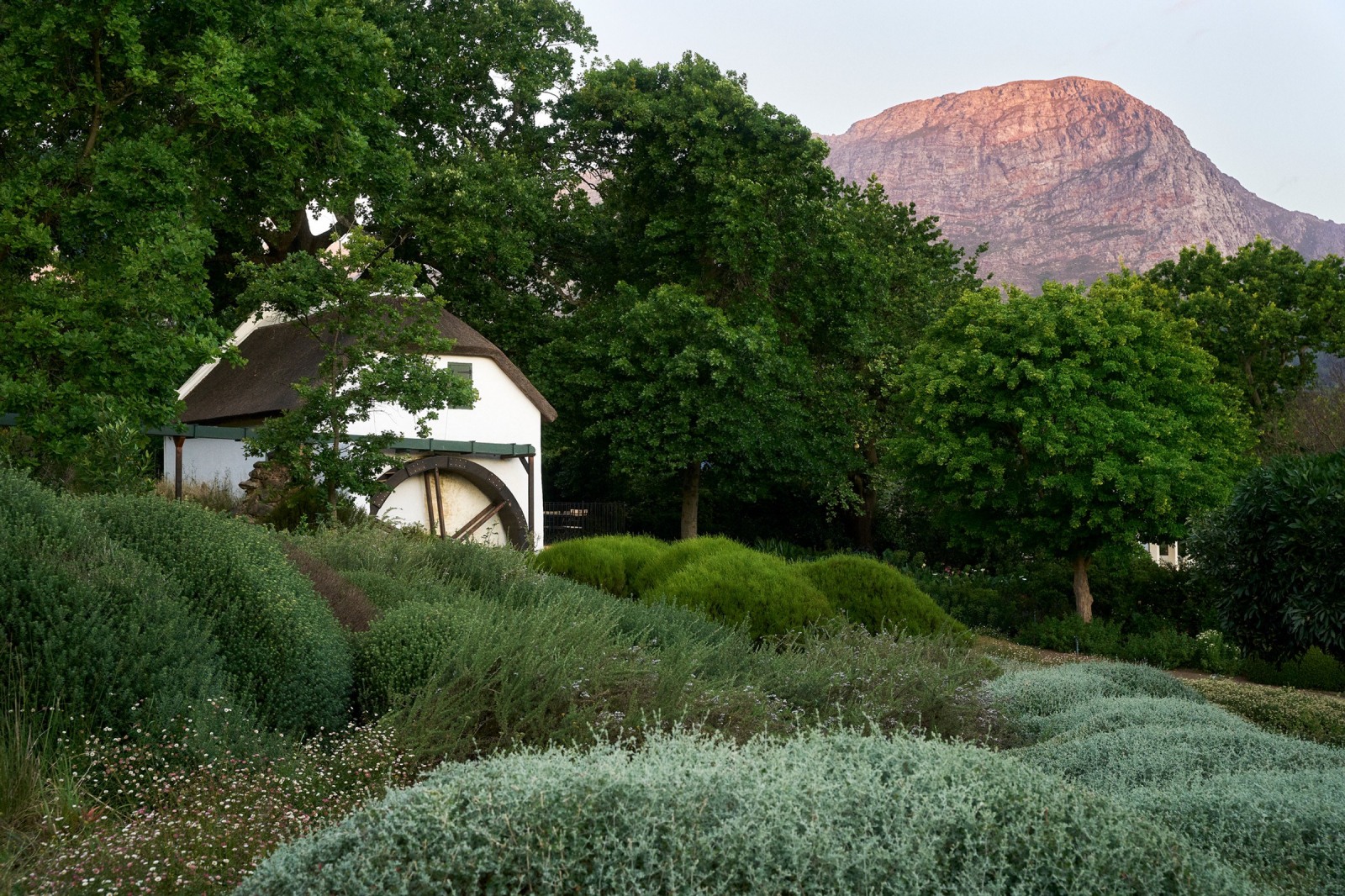 La Cotte Farm, Franschhoek