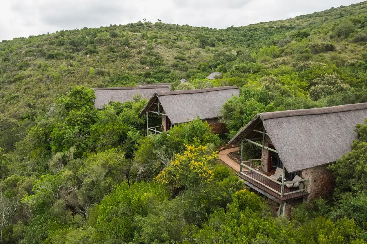 Lentaba Lodge at Lalibela Wildlife Reserve