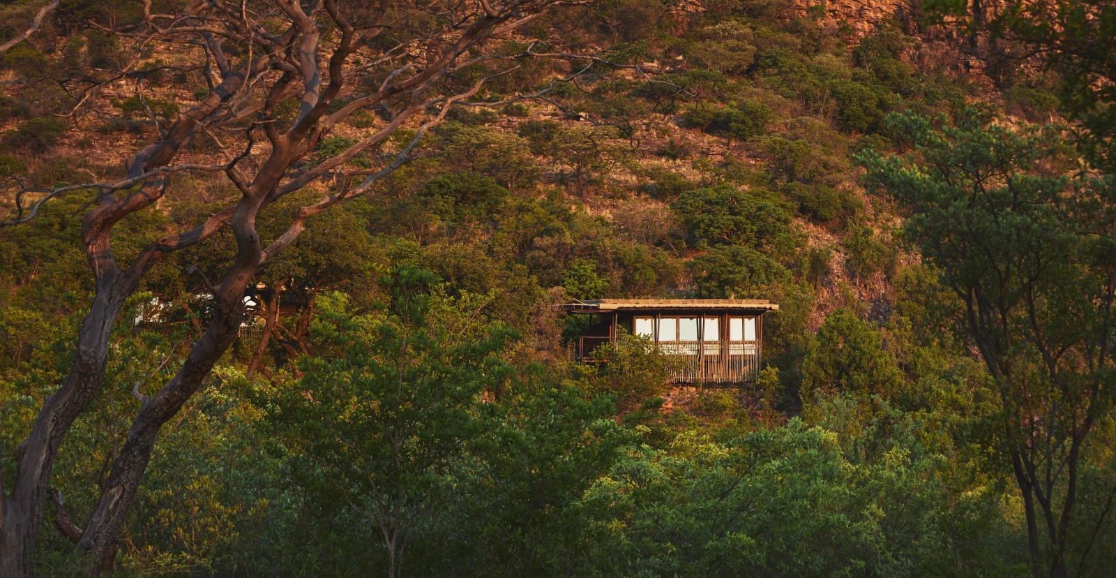 Room set into the hillside above Waterfall Valley, Marataba Mountain Lodge