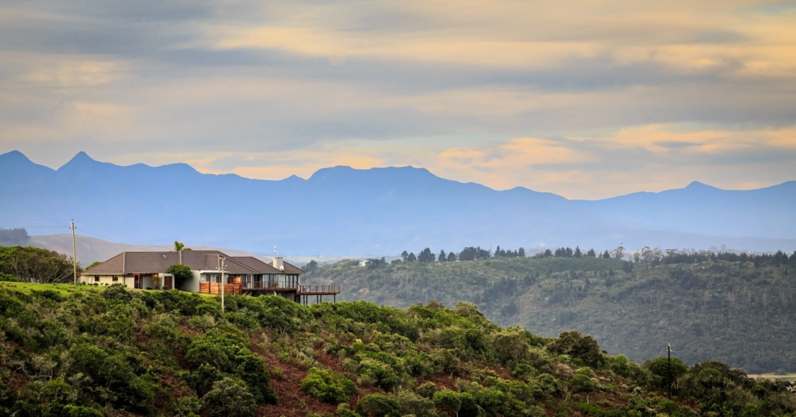 Simbavati Fynbos on Sea