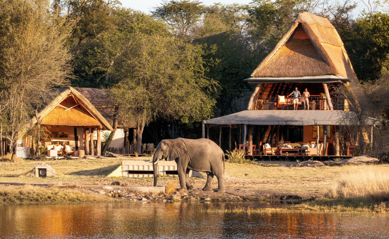 The Hide main A-frame above the waterhole with an elephant drinking