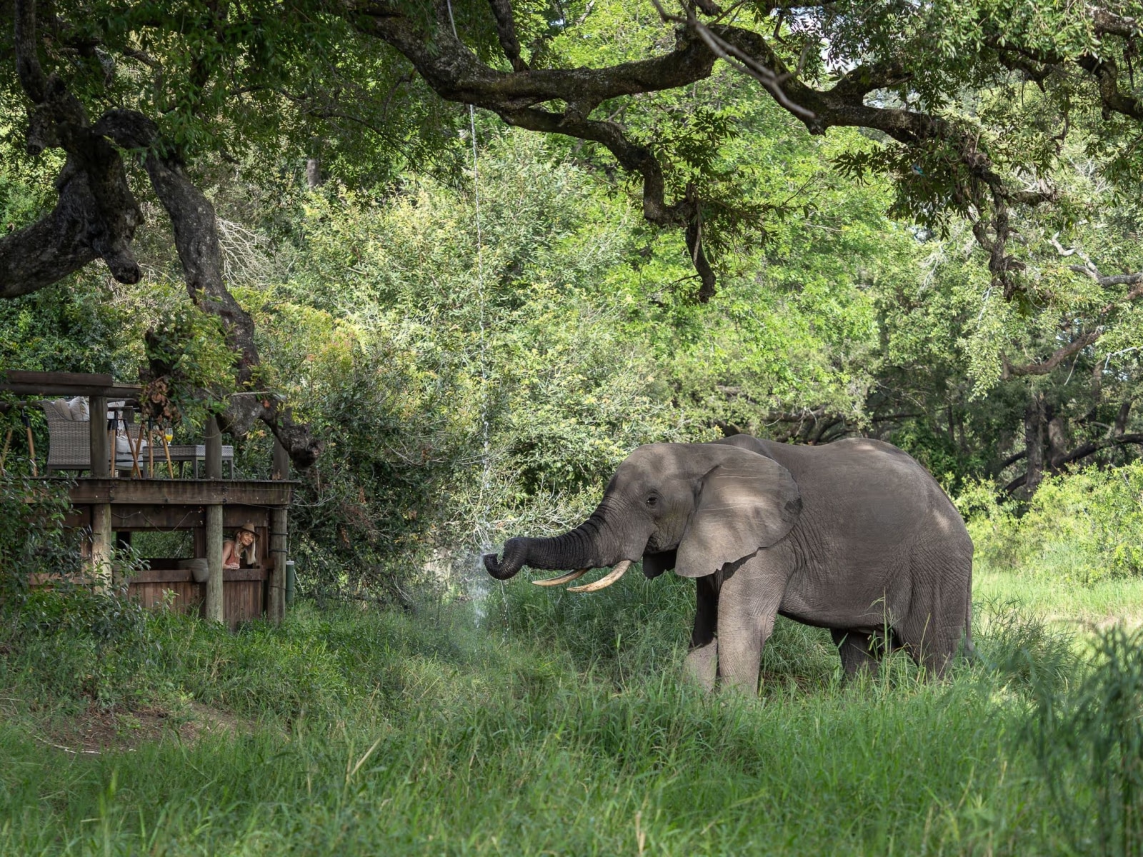 Tintswalo Safari