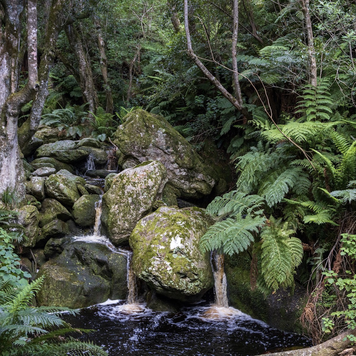 Marloth Nature Reserve