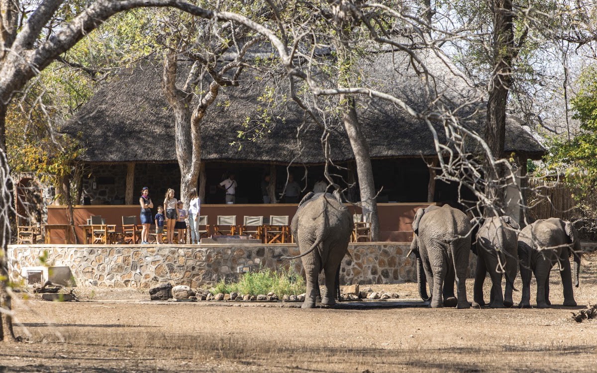 Thawale Lodge - Google Places photo