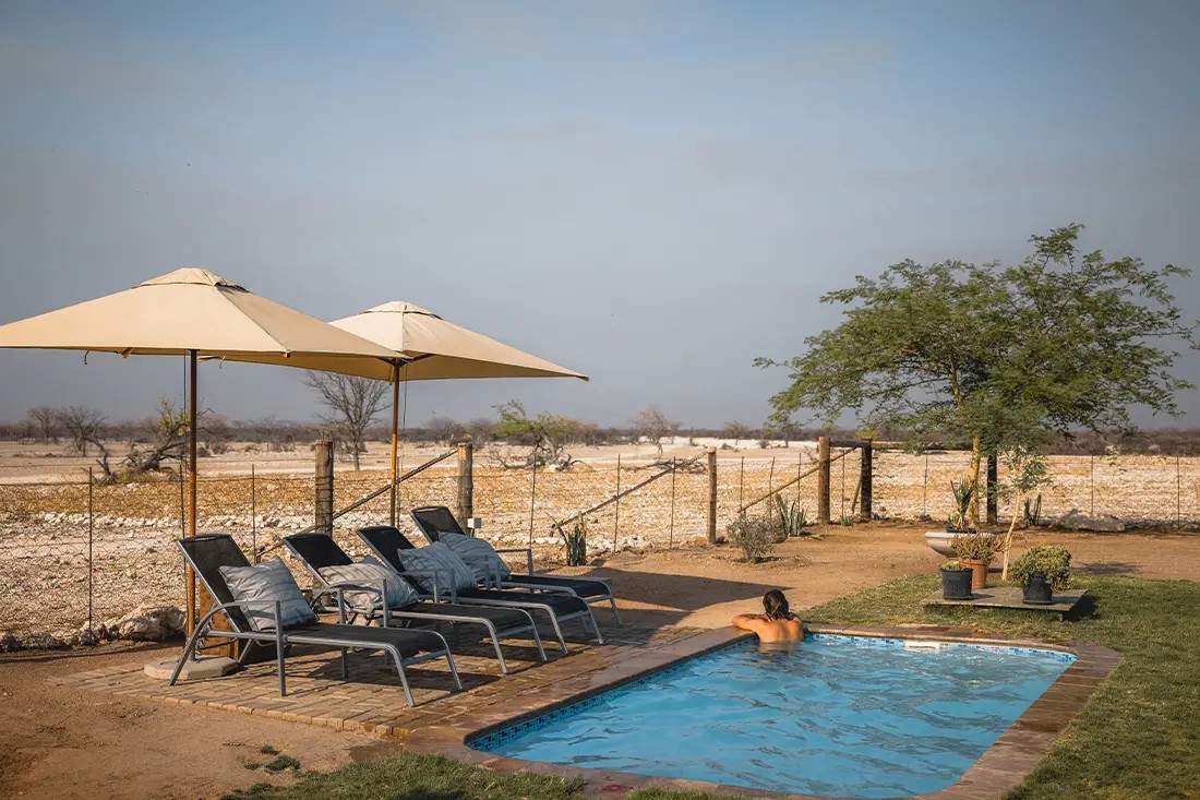Safari House