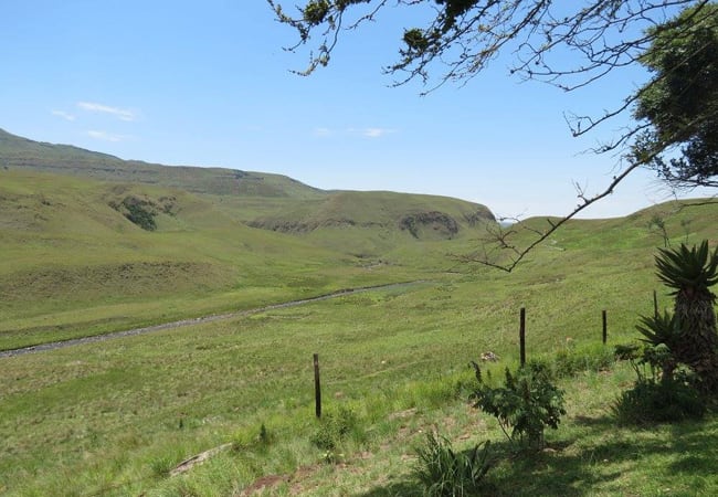 Lotheni