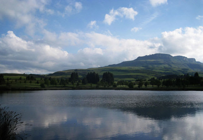 Kamberg