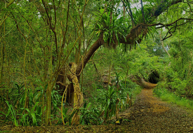 Umlalazi