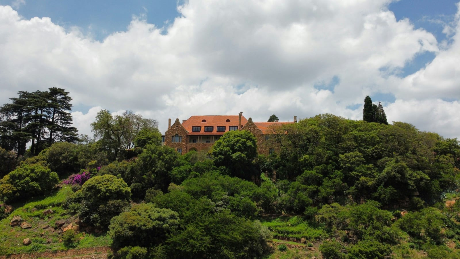 Parktown area