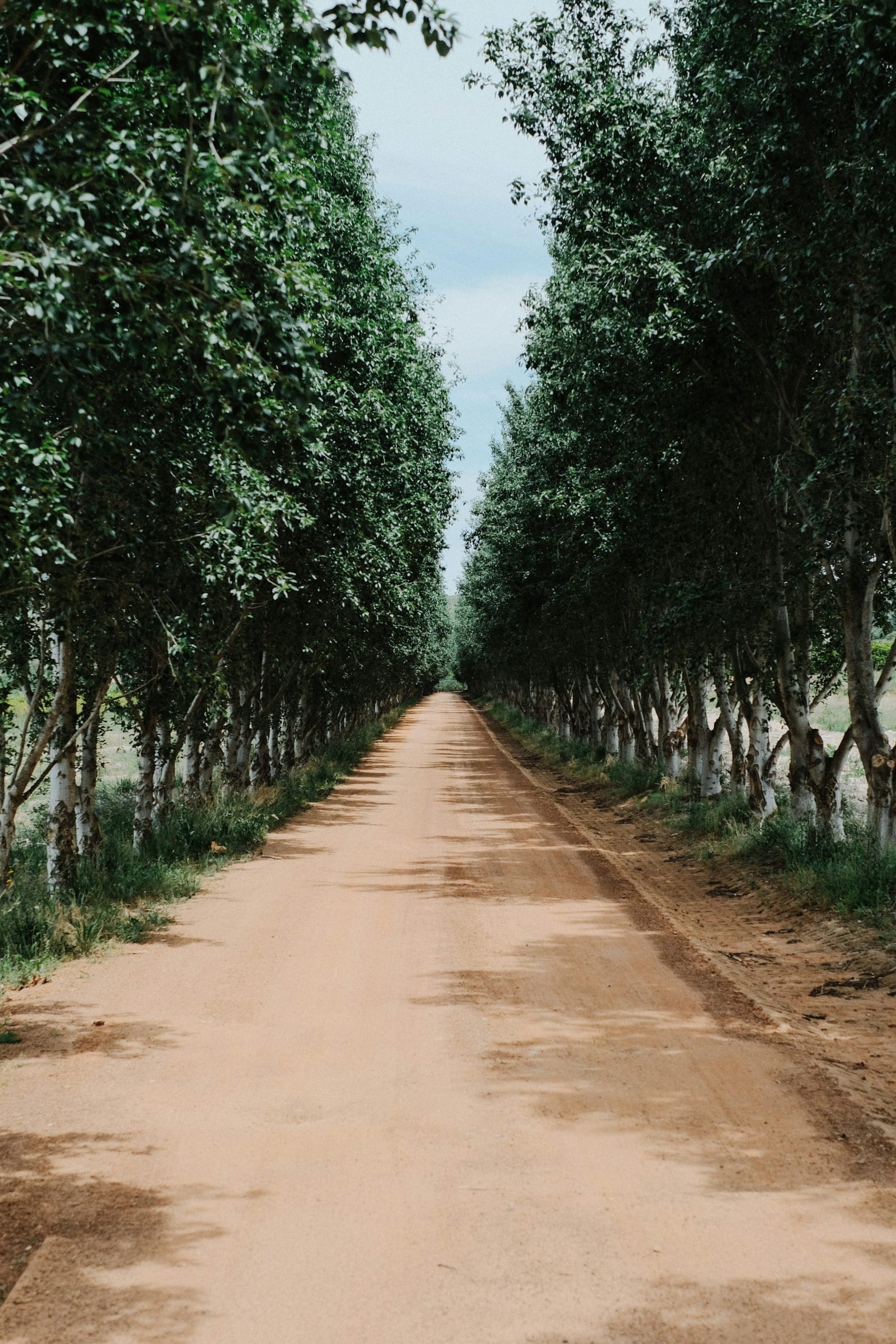 Klapmuts area