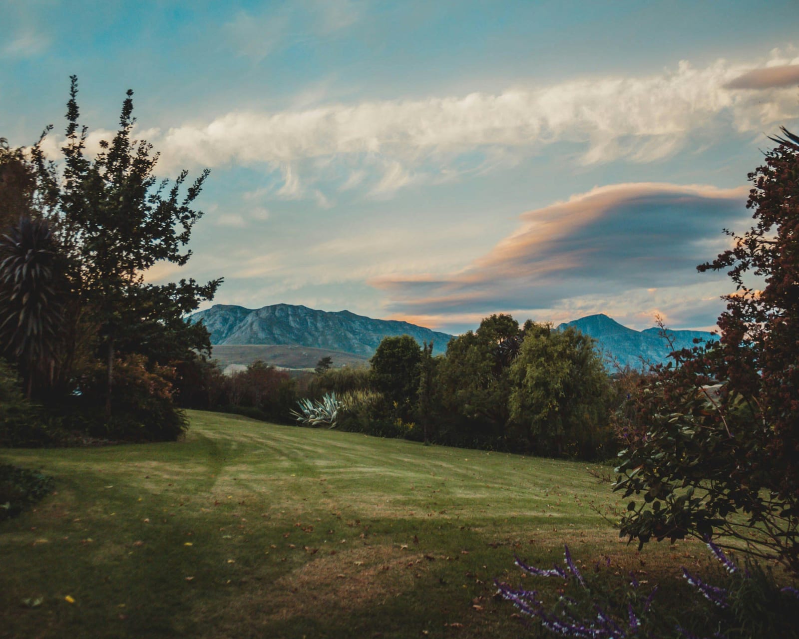 Greyton area