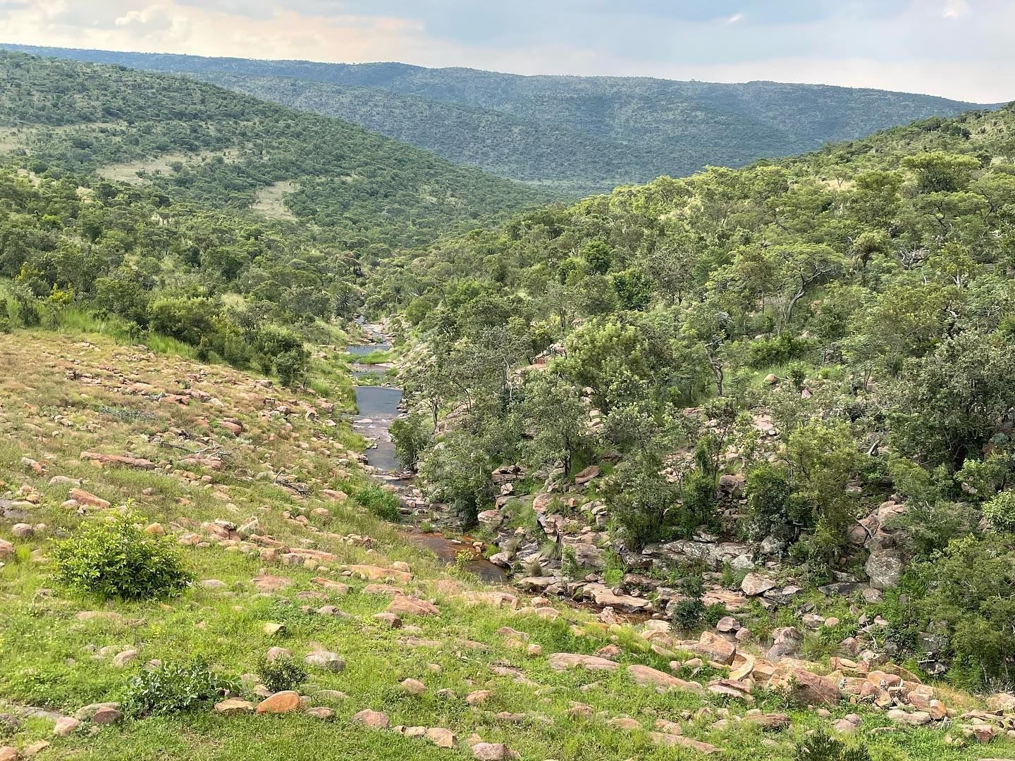 Izingwe Lodge - Main Unit