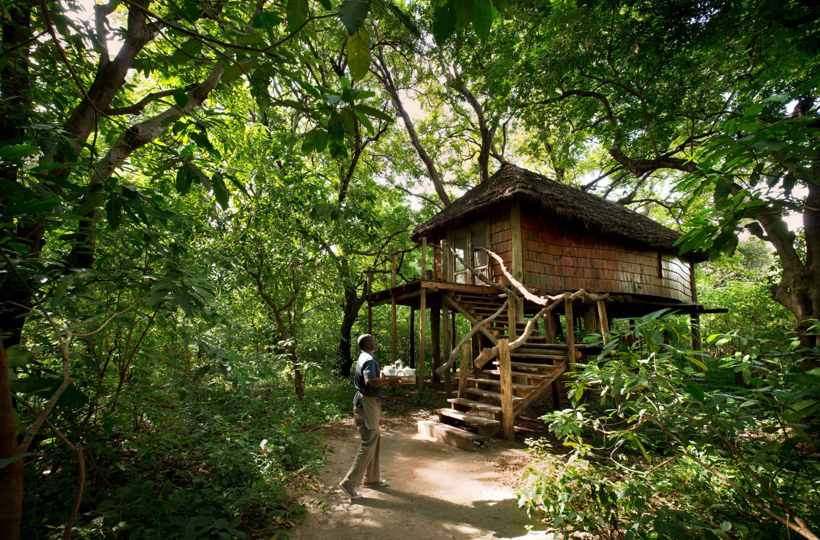 Treehouse Suite