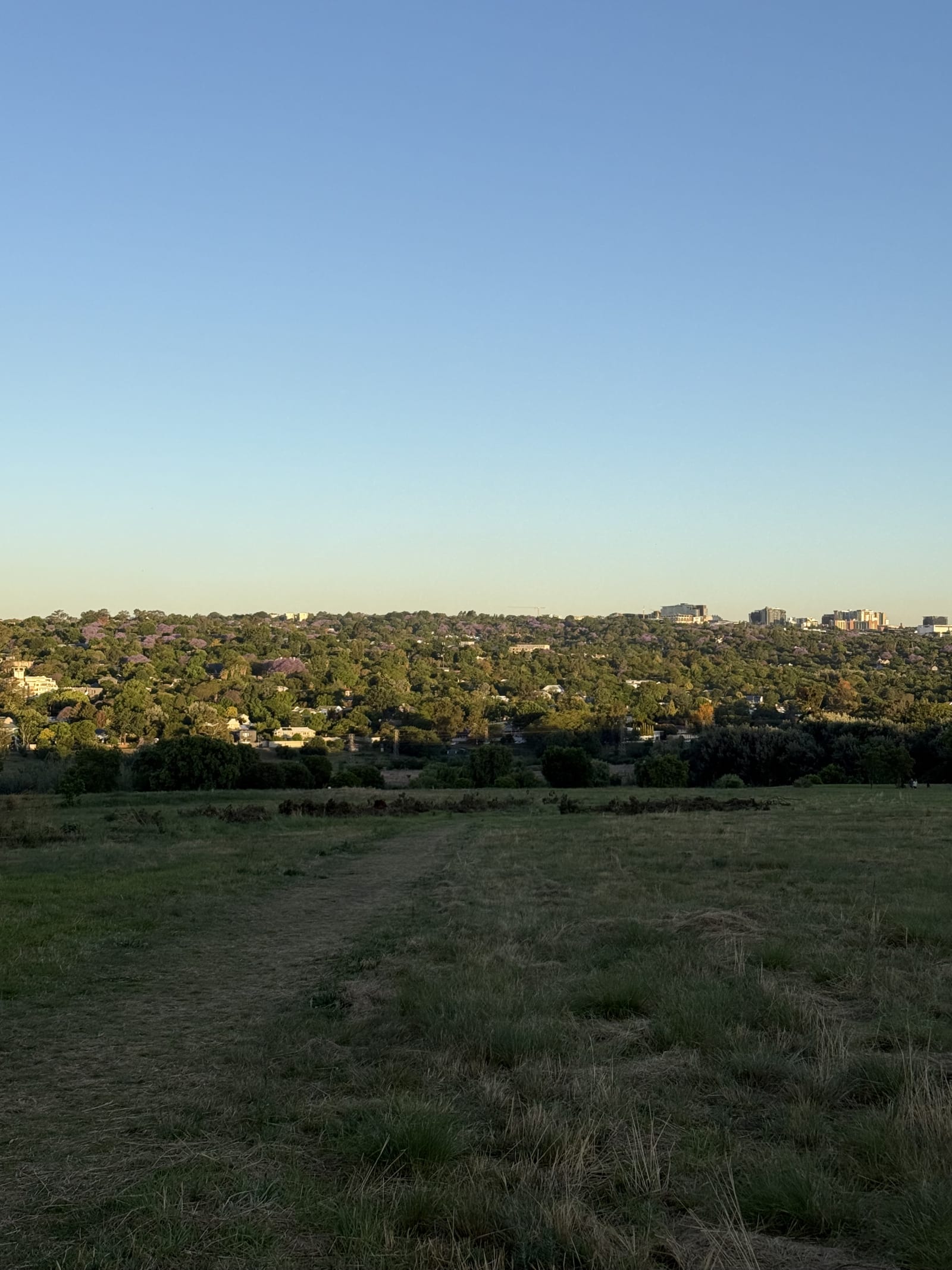 Victory Park area