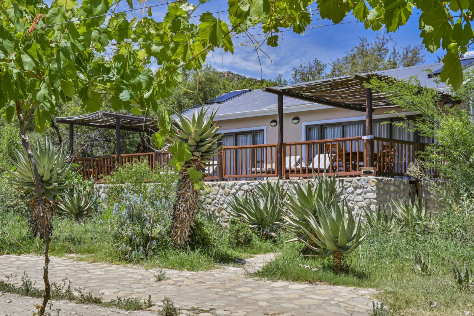 Shiraz Suite