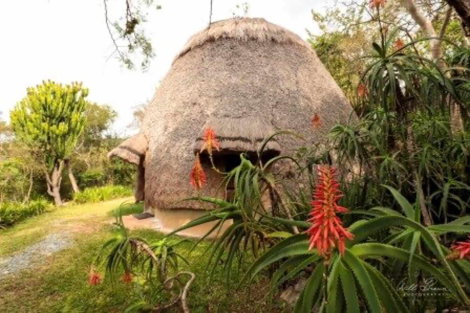 Beehive Hut