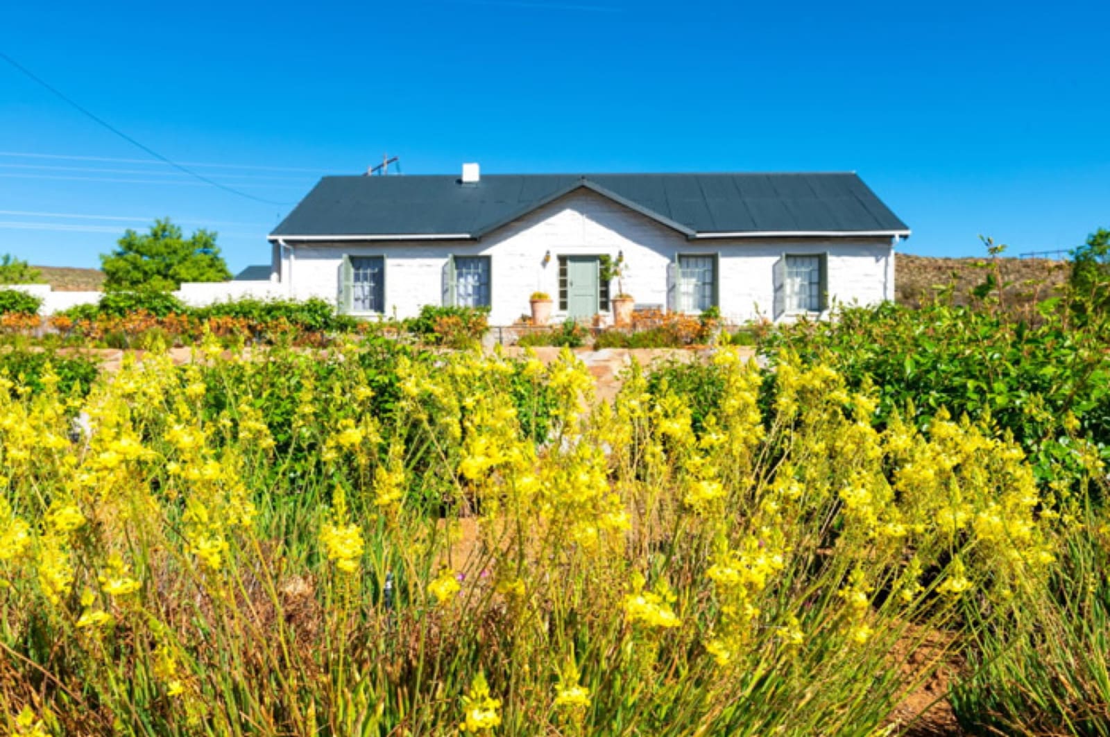 Huis Harpuis