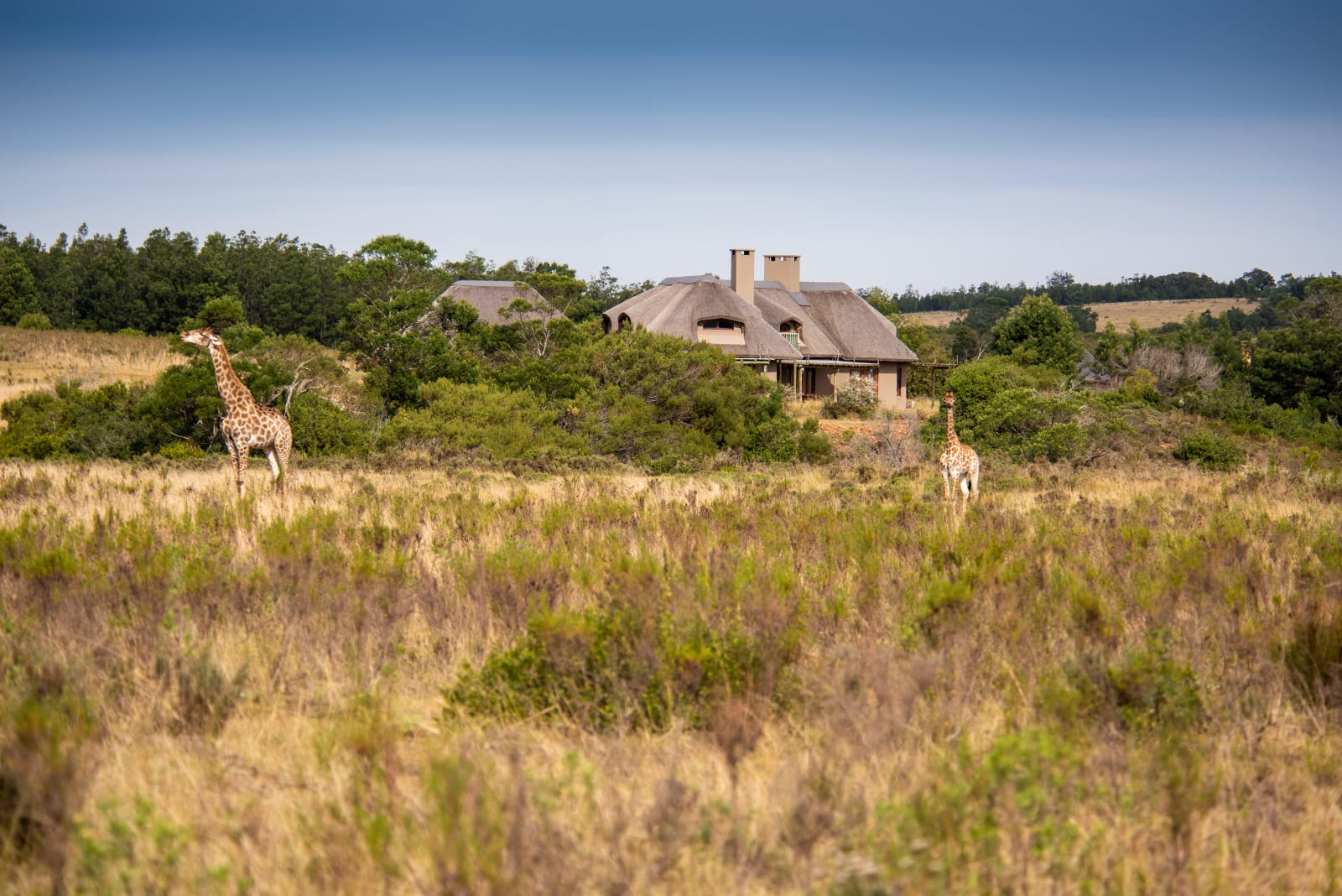 Gondwana Game Reserve area