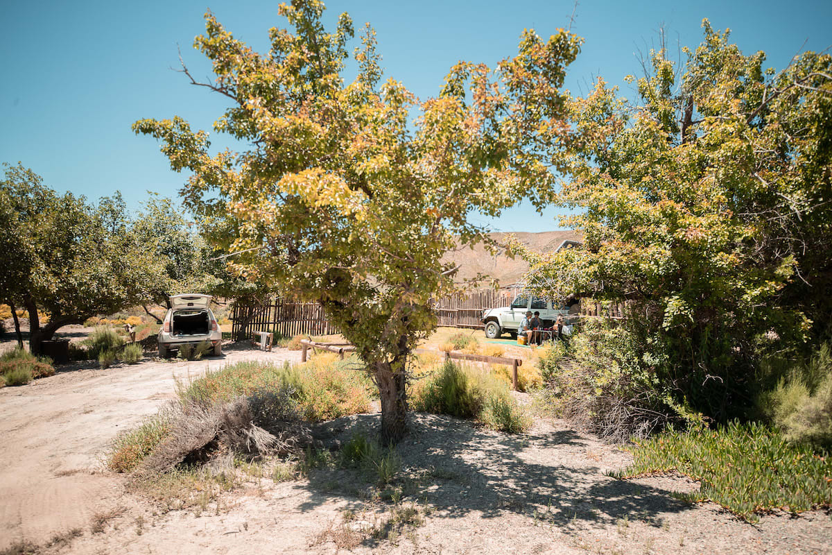 Pear Bush Campsite