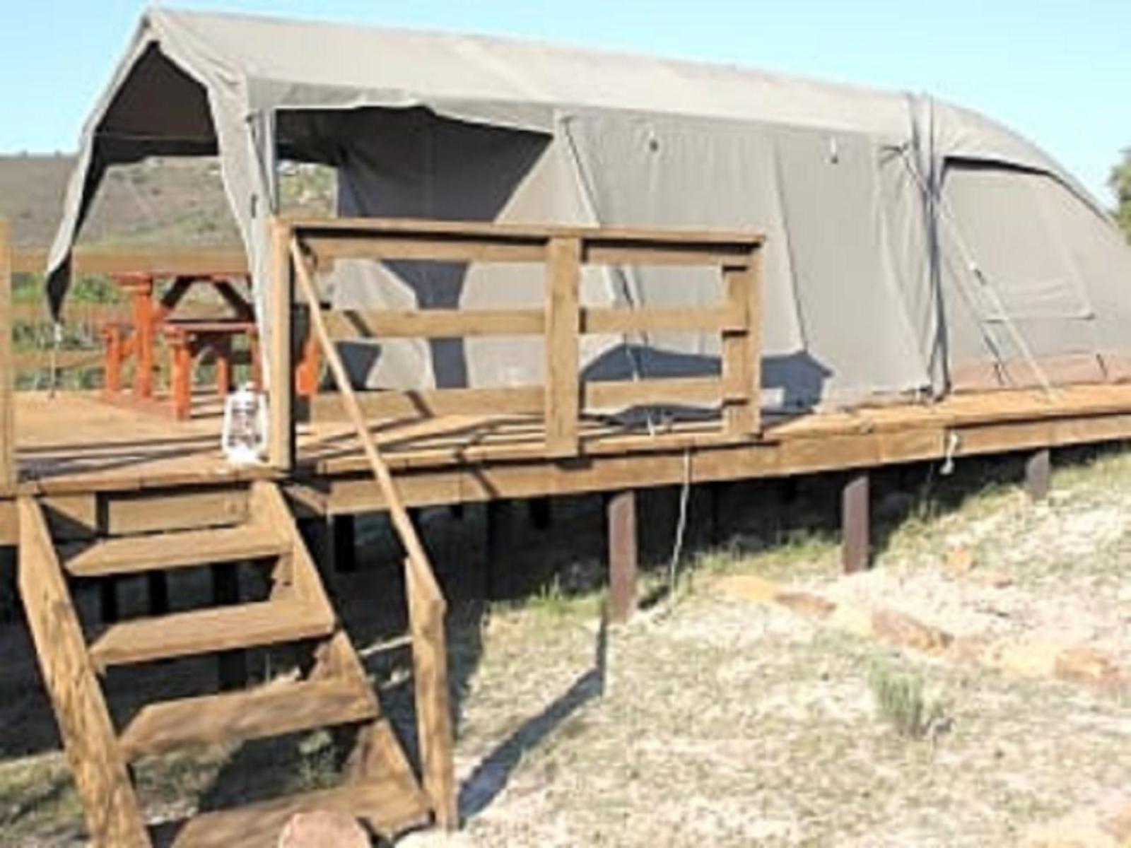 Permanent Family Tent