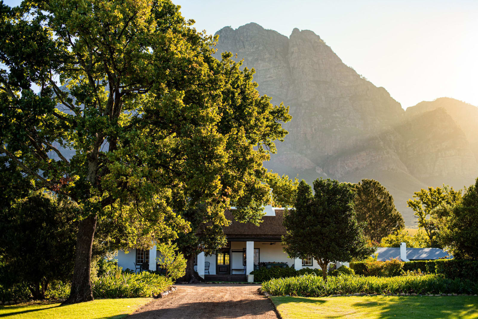 Whitewashed Cottage 1685 among old oak trees below the Simonsberg mountain