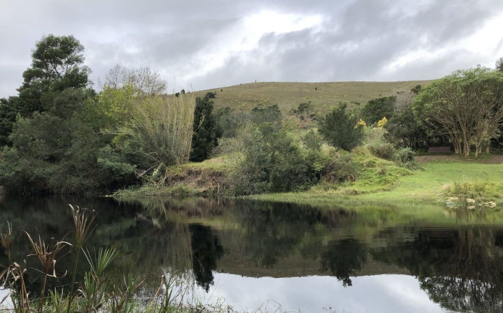 Bird-friendly stays in Swellendam