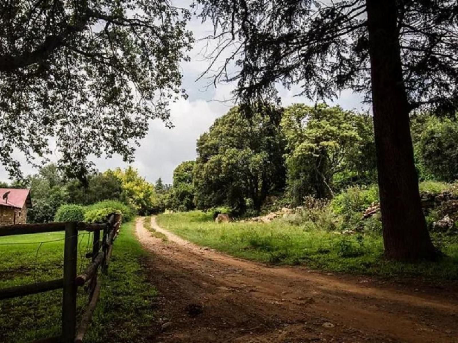Farm stays in Dullstroom