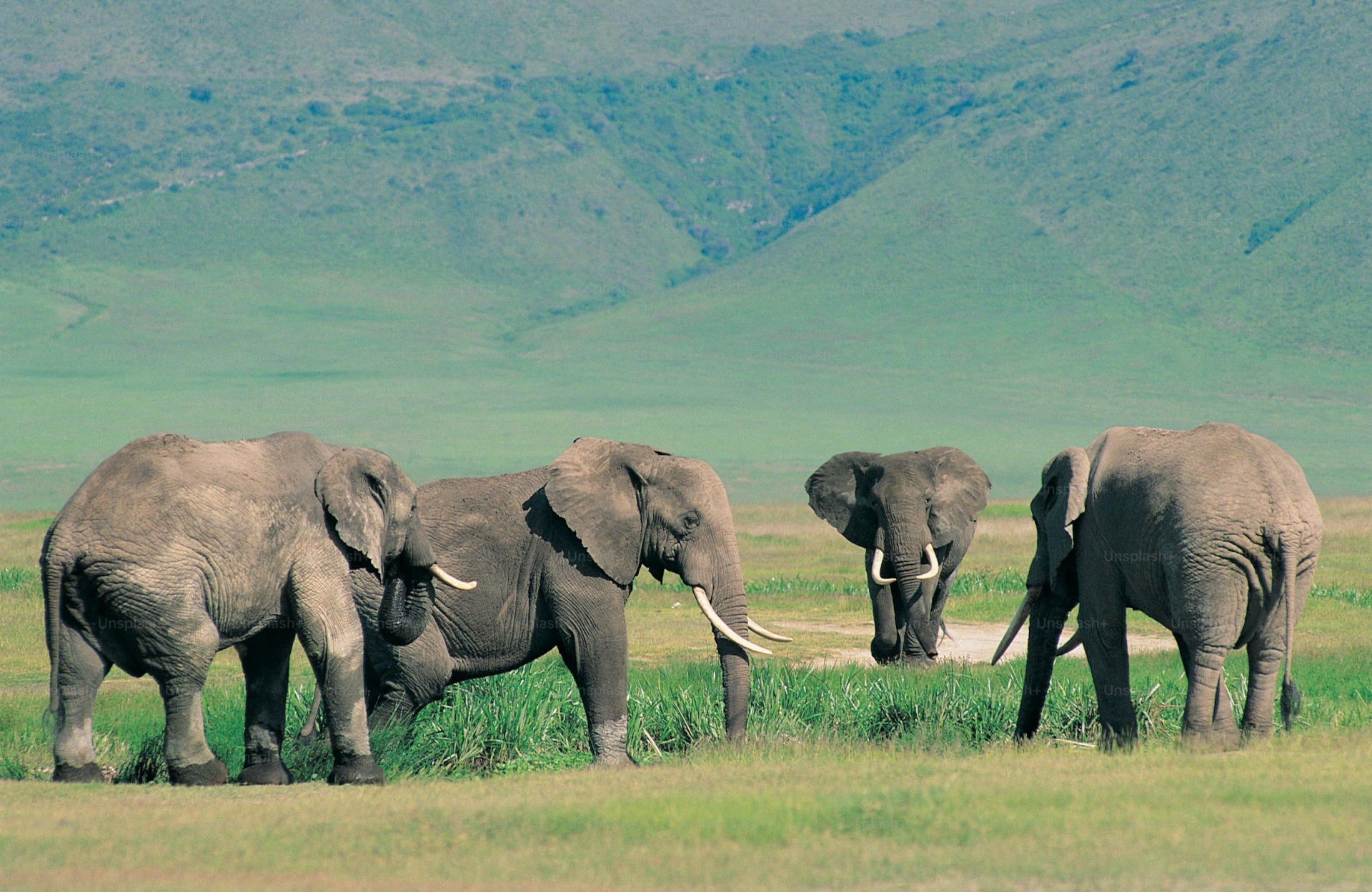 Tanzania