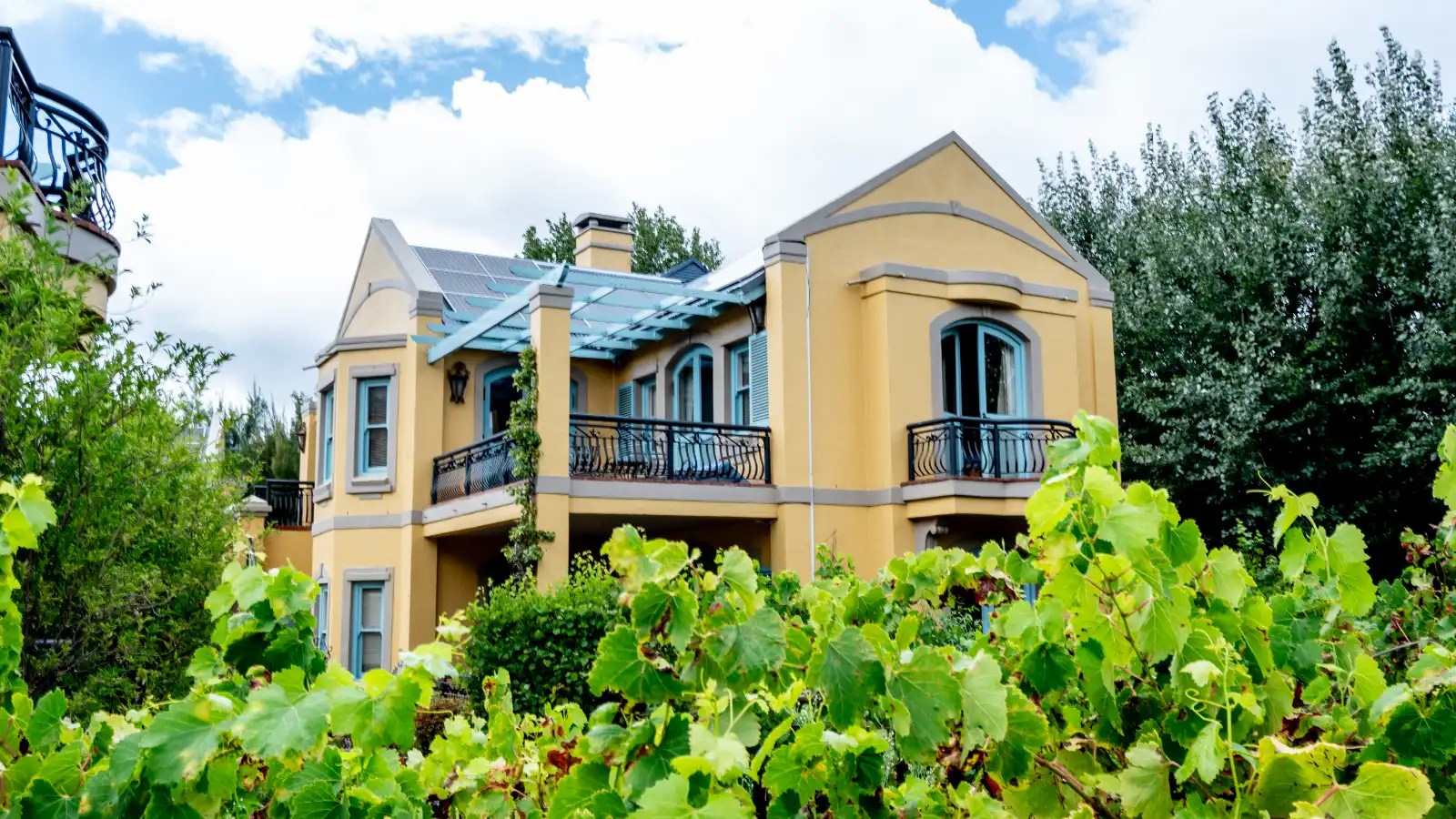 Searching around Franschhoek…