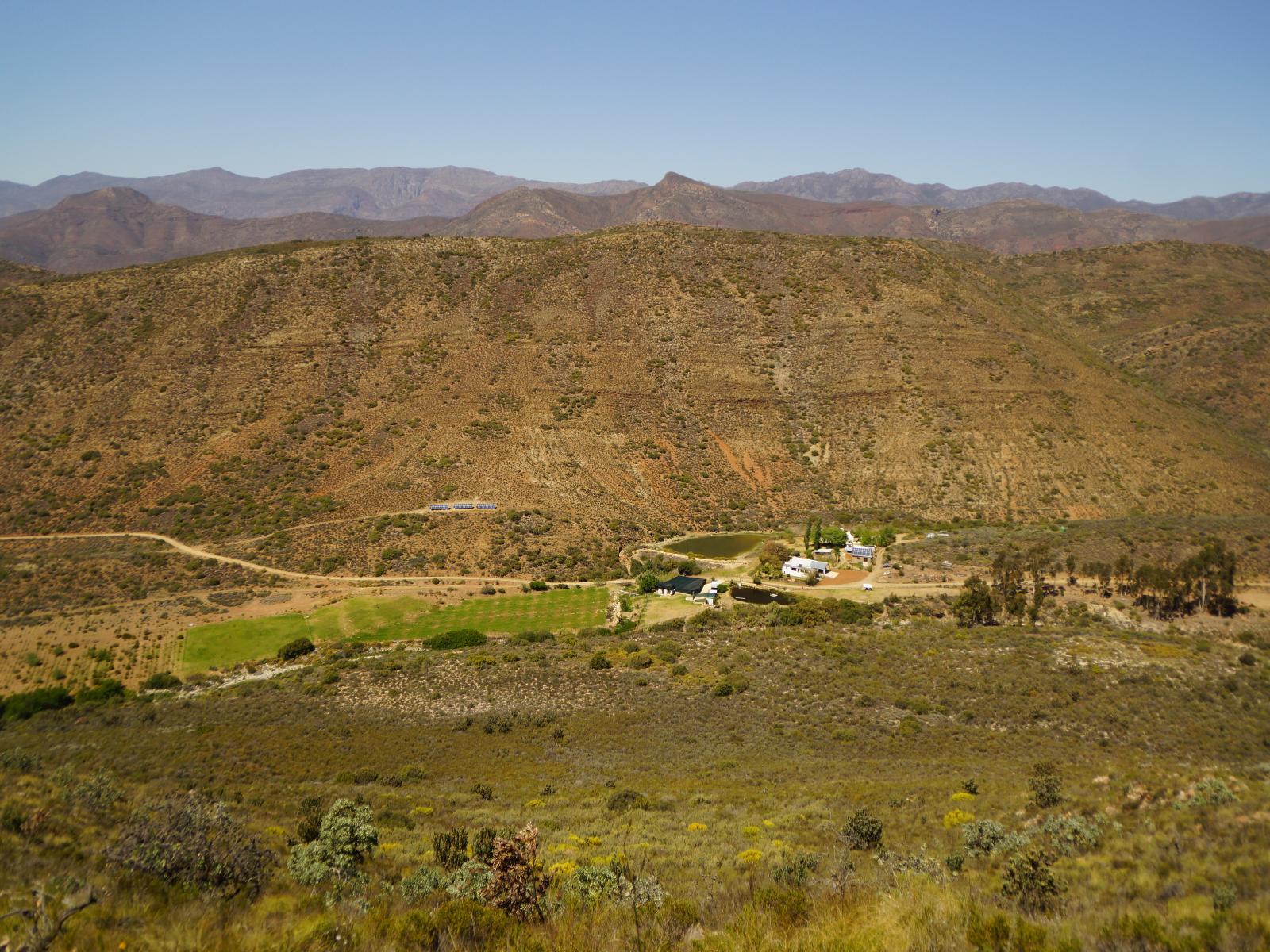 Bird-friendly stays in Montagu